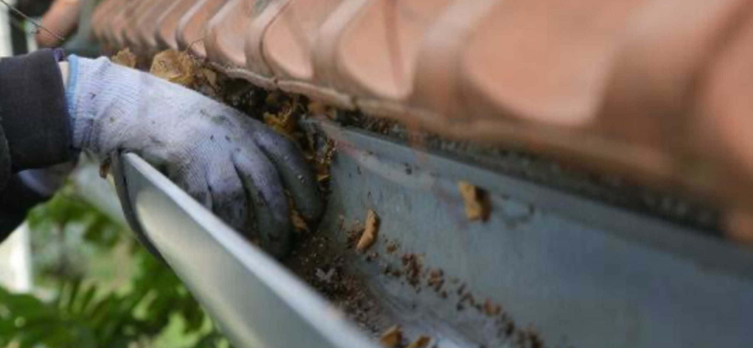 IMG_20240717_135251 IMG_20240717_135251