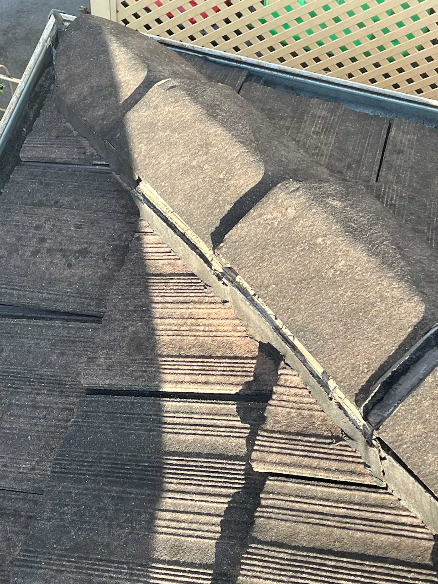 IMG_20240717_135256 IMG_20240717_135256